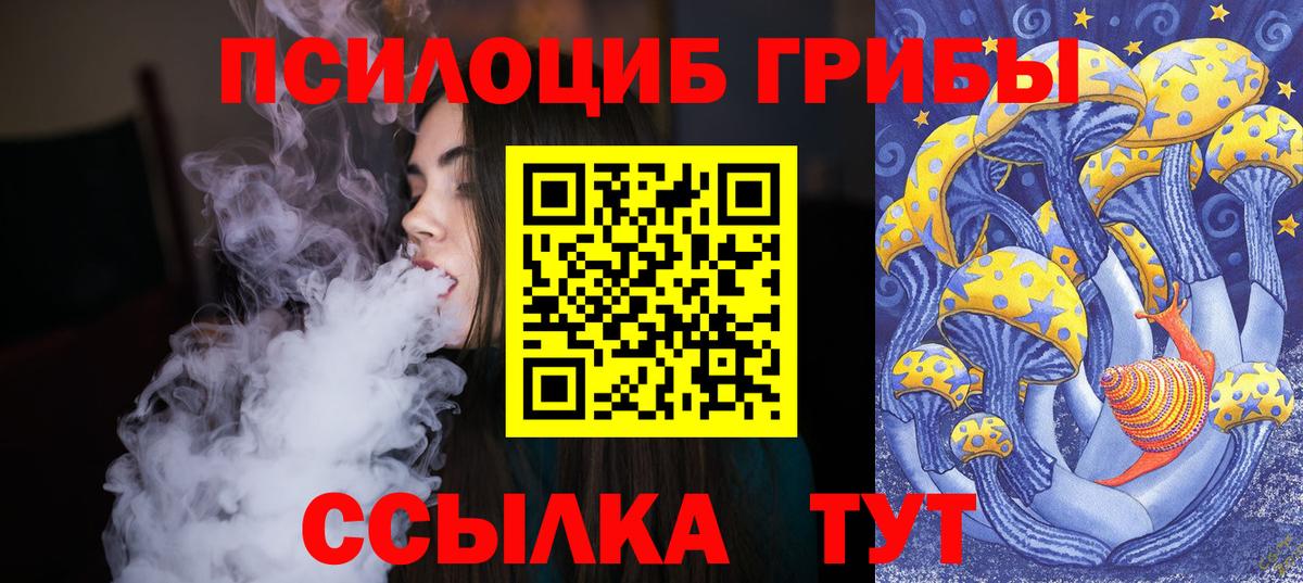 Каменка  Галлюциногенные грибы Psilocybine cubensis  Вход с VPN 